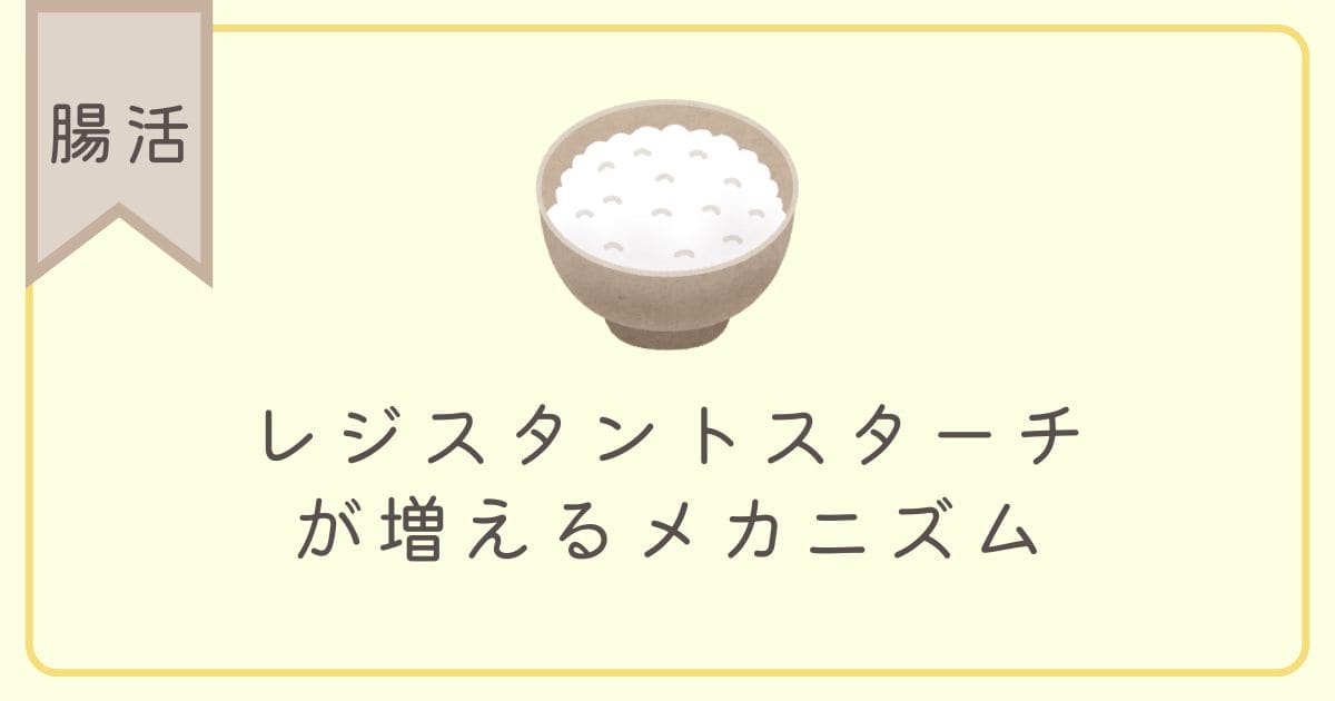 【腸活】レジスタントスターチ が増えるメカニズム